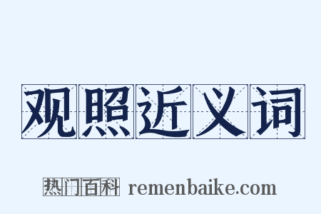 观照近义词是什么意思的图片